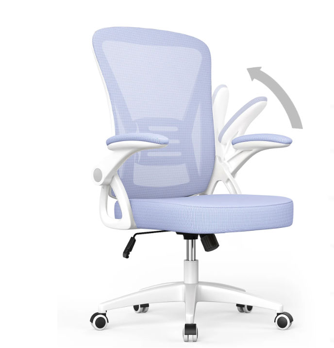 Bigzzia Ergonomic Office Chair, Mid-Back, Adjustable Height, Flip-Up Arms and Lumbar Support, Black