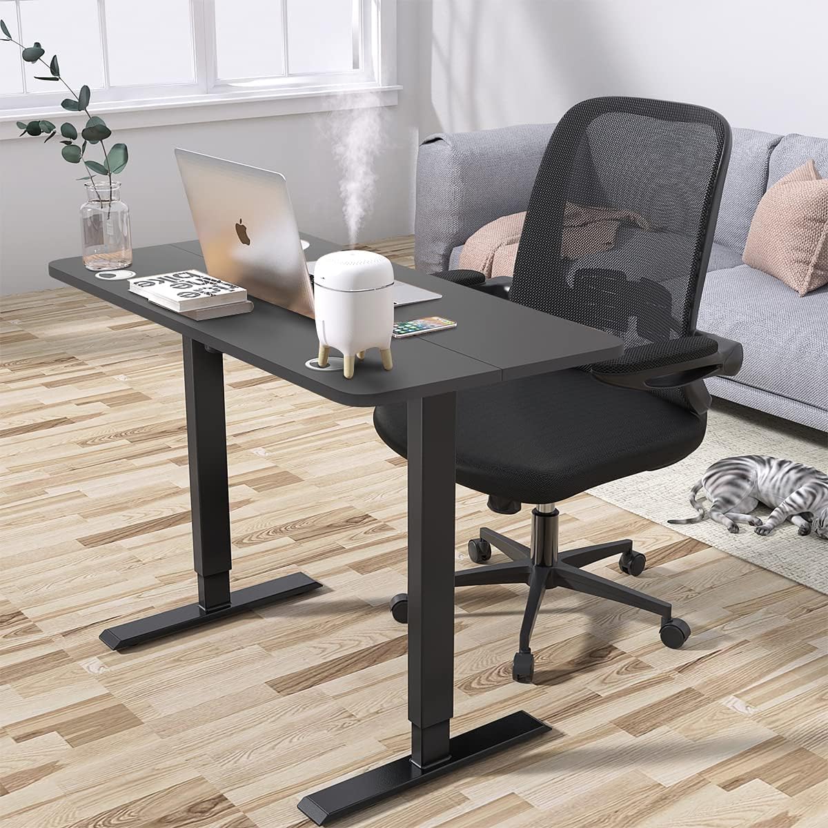 Bigzzia Electric Standing Desk Height Adjustable Standing Desk for 120cm x 60cm Stand Up Desk for Kids and Adults